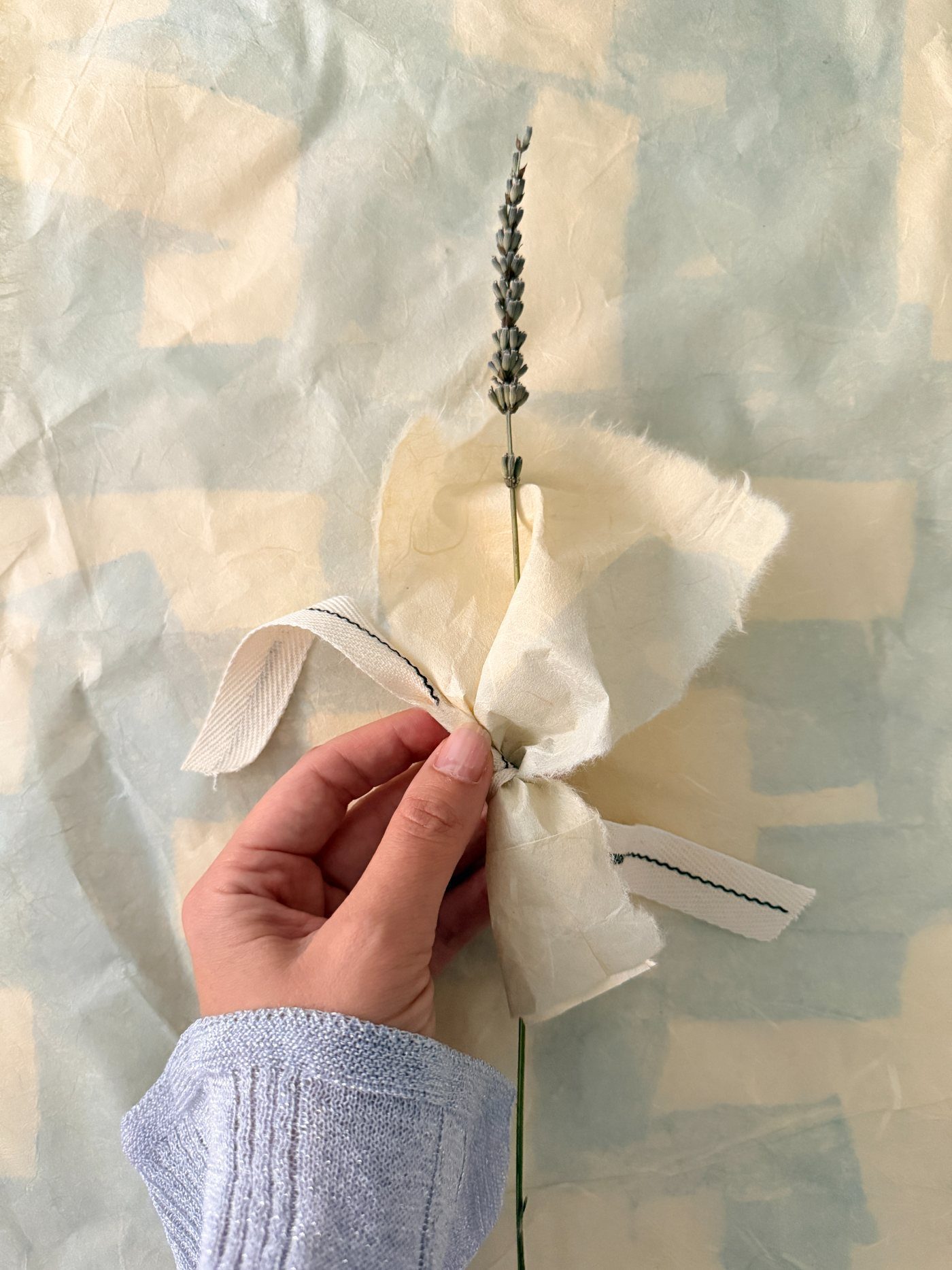 A single bundle